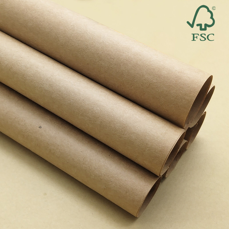FSC小蝌蚪官网免费下载具有什么优势作用？
