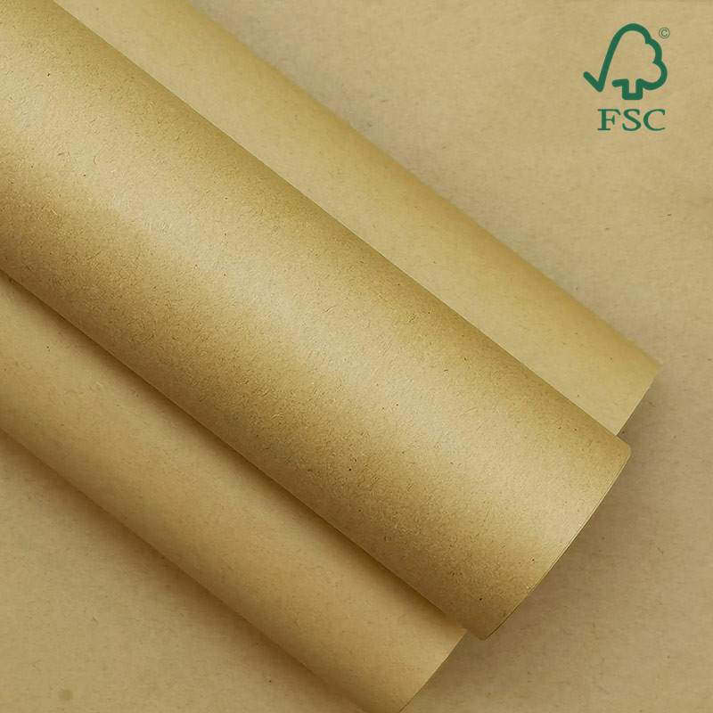 FSC小蝌蚪官网免费下载