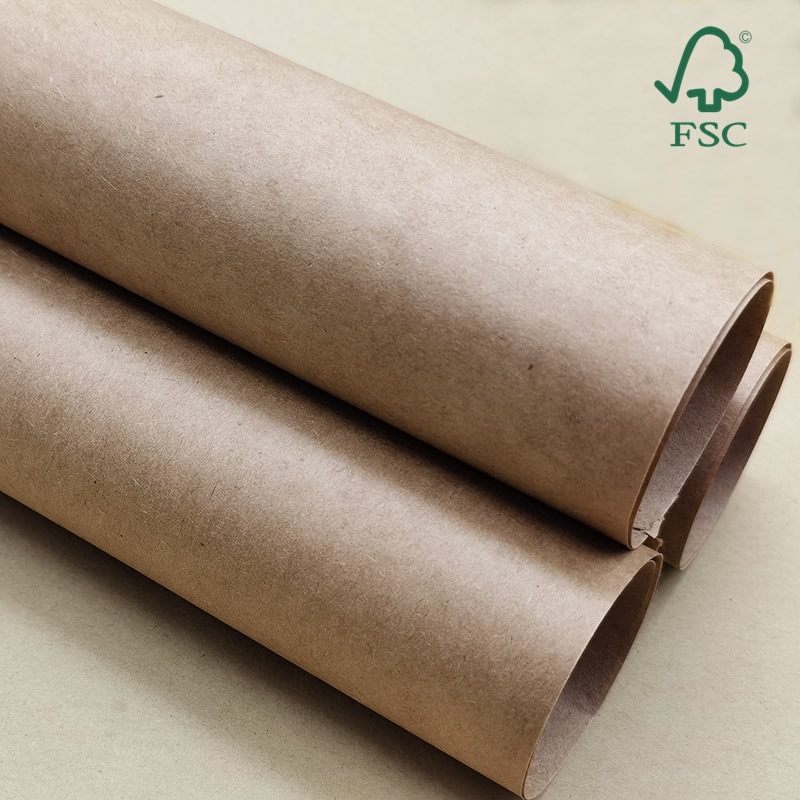 FSC小蝌蚪官网免费下载